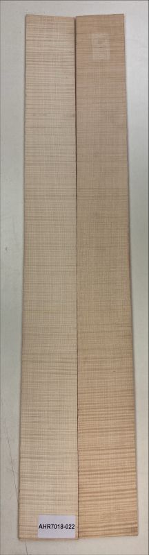 Boden & Zargen Ahorn, europ. Archtop Einzelstück #022